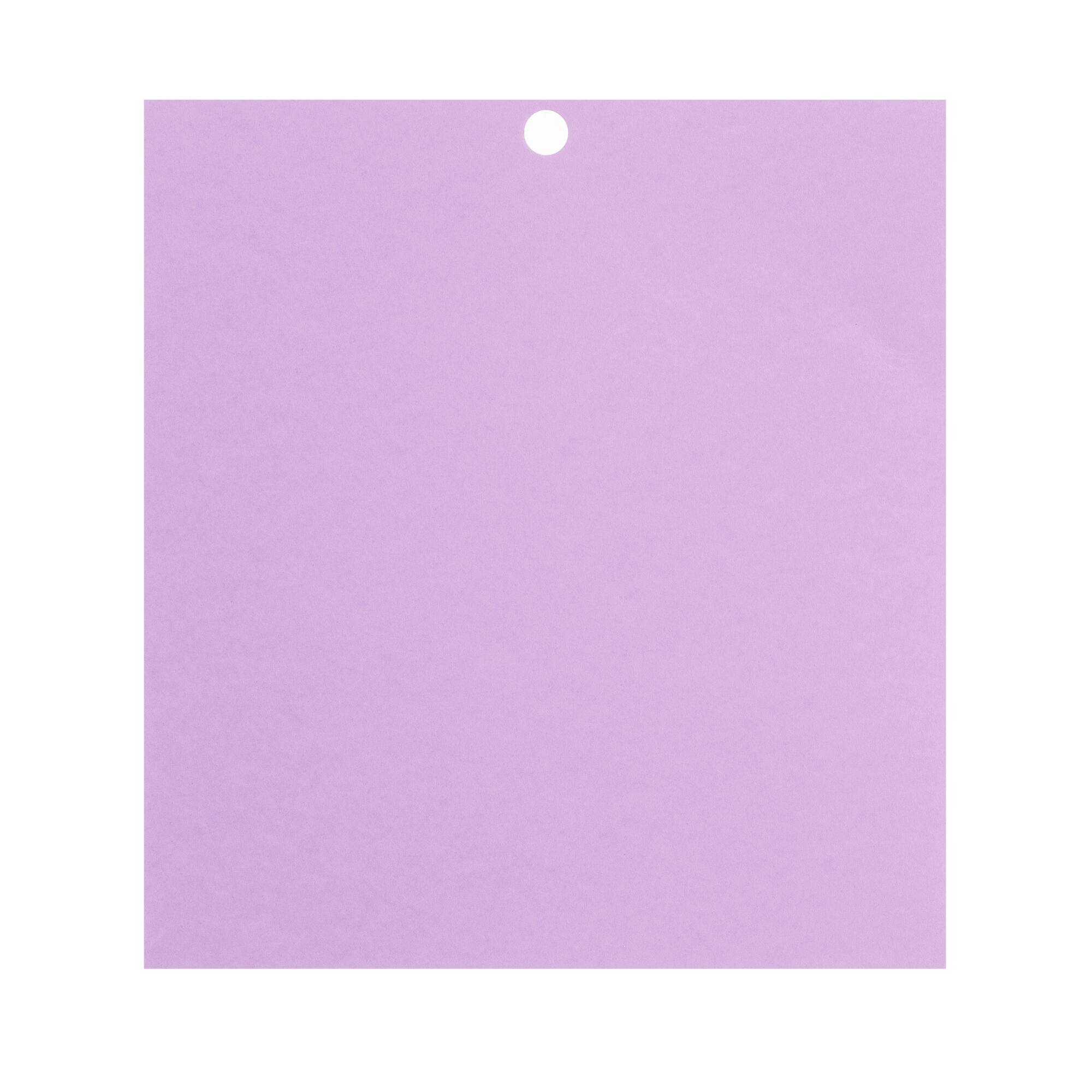 Purple Passion 6" x 6.5" Cardstock Paper by Recollections™, 100 Sheets